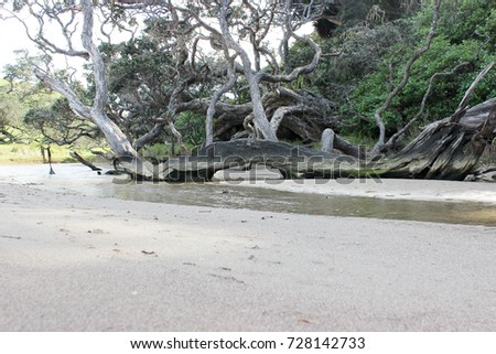 Trees On