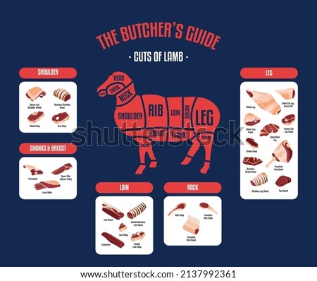 Meat and Lamb cuts. Diagrams for butcher shop. Scheme of Lamb. Vector Flat Illustration. Lamb butcher's guide. Used for cooking steak and roast - Leg, Loin, Rack, Foreshanks, Shoulder, etc.