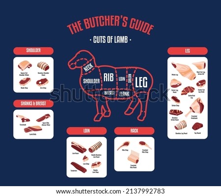 Meat and Lamb cuts. Diagrams for butcher shop. Scheme of Lamb. Vector Flat Illustration. Lamb butcher's guide. Used for cooking steak and roast - Leg, Loin, Rack, Foreshanks, Shoulder, etc.