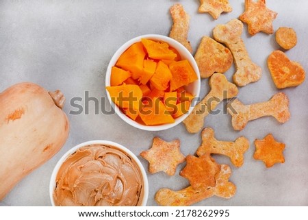 Similar – Image, Stock Photo #S# Pumpkin friends Food