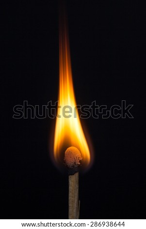 Match and blaze of fire on match isolated on black background