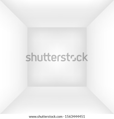 Empty white room or box. Interior background mock up for your design. Vector illustration.