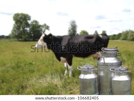they three metal cans on milk on cow background