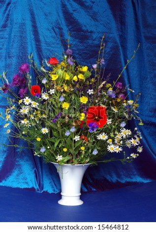 bouquet of the field - flowers in white flowerpot