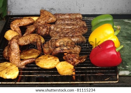 barbecue from meat on metal grill
