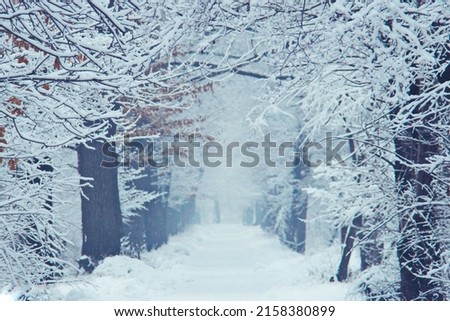 Similar – Foto Bild Verschwommener Winterweg im schwarzen Moor