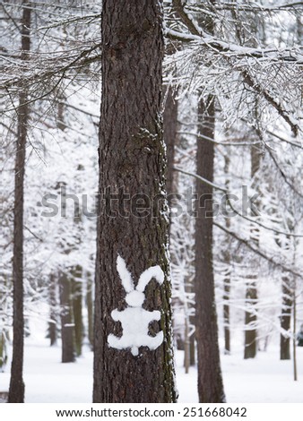 Hare silhouette of snow cleave to the bark of a tree on a background of snow forest