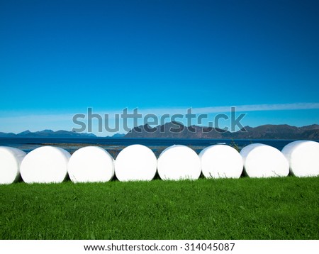 Toned image of the row of plastic wrapped hay bales on a green field on the background of mountains and blue sky