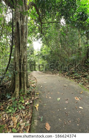 outdoor road in forest. National Park in Thailand