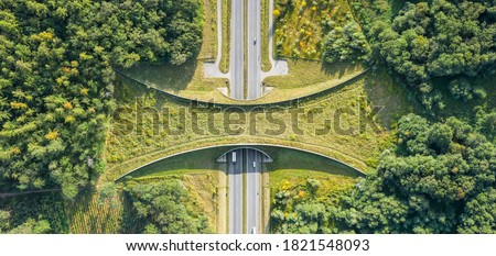 Aerial top down view of ecoduct or wildlife crossing - vegetation covered bridge over a motorway that allows wildlife to safely cross over