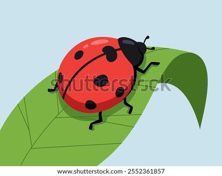 Similar – Image, Stock Photo Ladybug on green leaf