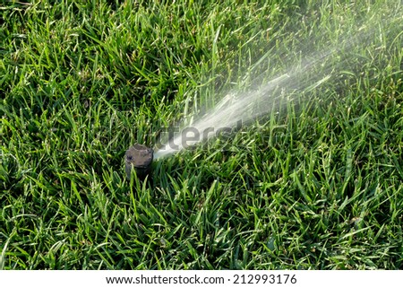 Automatic sprinklers watering grass. Sprinkler system working on fresh green grass