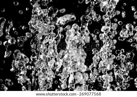 Splashes of Transparent water is Frozen by Flash on Black Background. Drops of water fly in the dark. Ornate splashes hover in the air.