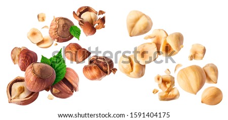 Hazelnuts crushed into pieces and green leaves frozen in the air on a white background. Creative food levitation conception. High resolution image.