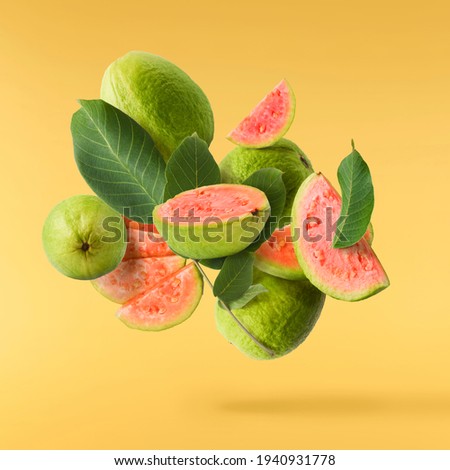 Fresh ripe whole and halved guava with leaves falling in the air isolated on yellow illuminating background. Zero gravity or levitation conception. High quality resolution image