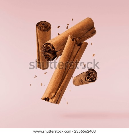 Image, Stock Photo Vegan cinnamon rolls raw dough, top view