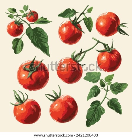 fresh tomato with green leaves hand drawn illustration