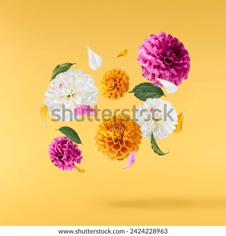 Similar – Image, Stock Photo Close up of Pink Blossom Cherry Tree Branch, Sakura Flowers