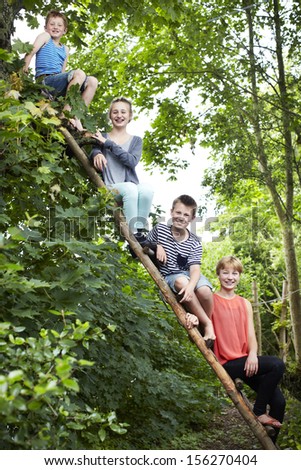Four siblings sitting on a wooden ladder