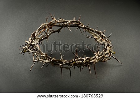 Crown of thorns with dramatic lighting on neutral background