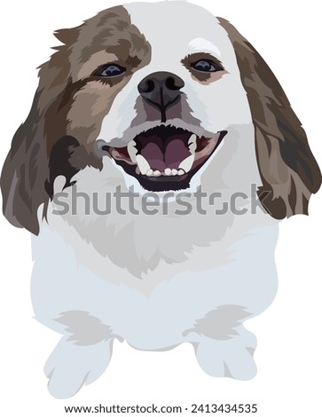 Shih-tsu dog on white background. Vector illustrationShih-tsu dog on white background. Vector illustration