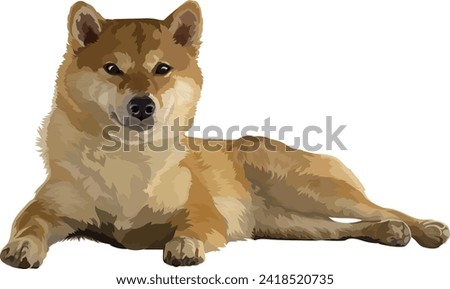 Shiba Inu dog vector illustration of a pet, Adobe Illustrator, EPS