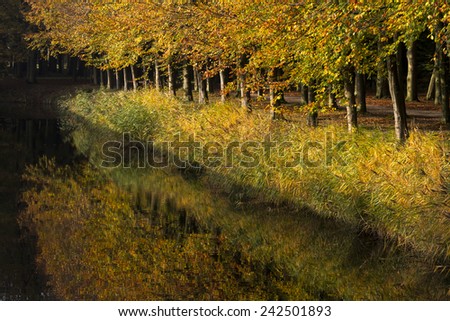 Autumn trees reflecting in water.