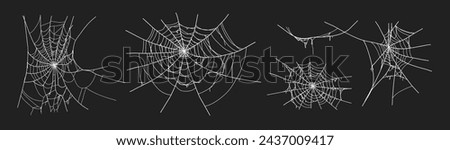 Spooky halloween old spider web with various sizes and shapes. Old cobweb set vector illustration for dark gothic decoration for holidays. Corner spider net insect thread cobweb scary frames.