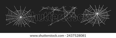 Spooky halloween old spider web with various sizes and shapes. Old cobweb set vector illustration for dark gothic decoration for holidays. Corner spider net insect thread cobweb scary frames.