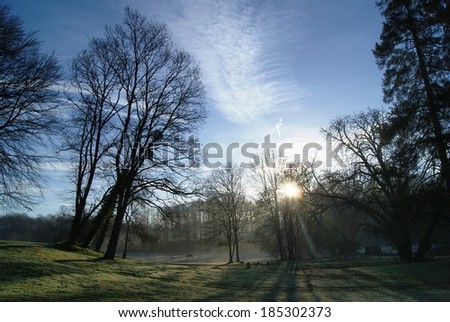 Sunrise behind tree silhouettes and misty background in Medieval garden