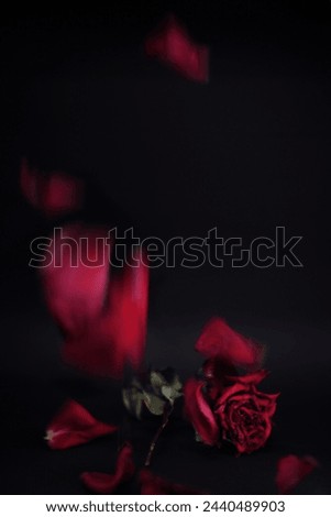 Similar – Image, Stock Photo Rose withered