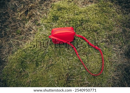 Similar – Foto Bild Dünen mit grünem Moos und hohem Gras und Schafen auf der Insel Sylt