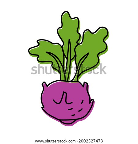Kohlrabi cabbage. Vegetable sketch. Color simple icon. Hand drawn vector doodle illustration