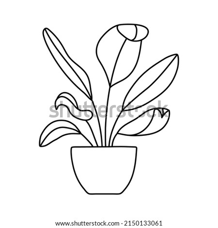 Indoor plant in a pot sketch. Vector doodle black and white outline illustration