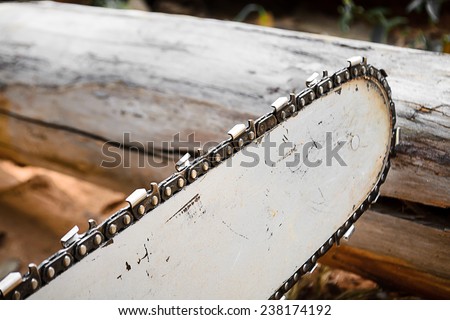 carpenter use Saw blade for cutting timber