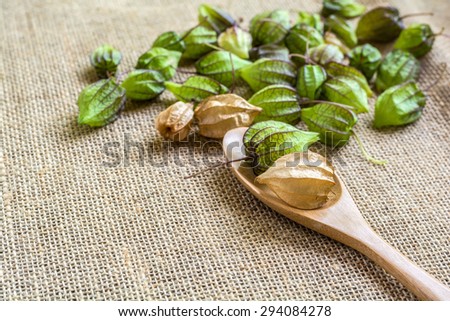 green ground cherry and brown ground cherry with spoon on sackcloth