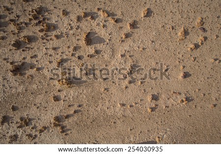 Dry Cracked soil ground