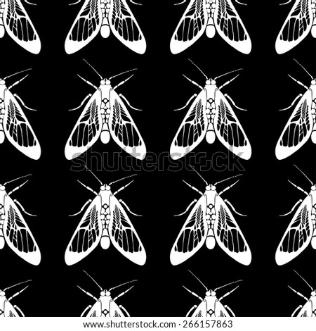 Beautiful insect moth seamless pattern - vector