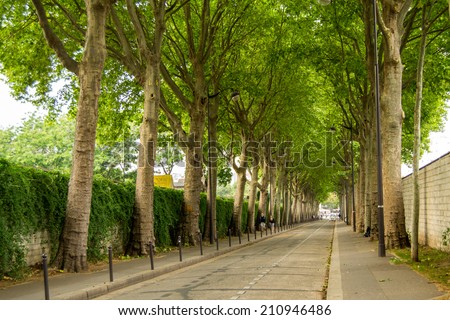 A road between two cemeteries in Paris, Montparnasse Cemetery
