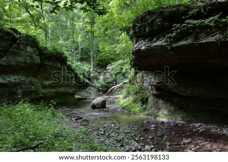 Similar – Foto Bild Tropfen Umwelt Natur