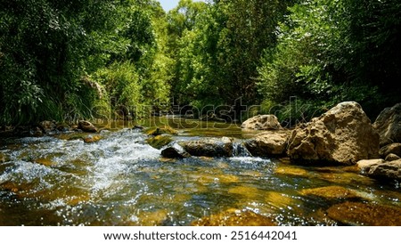 Similar – Foto Bild Bach in einem Wald Natur