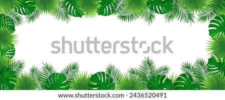 Amazon foliage vector background. tropical rainforest border frame with exotic tropic leaves, jungle plants and grass. Summer, travelling vacation card for textile print, invitation and promo designs