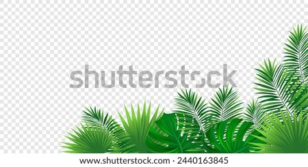 Green amazon border frame with exotic jungle plants, areca palm leaves and place for text. Summer rainforest foliage vector background. Simple tropic design for travel, vacations card and banners.