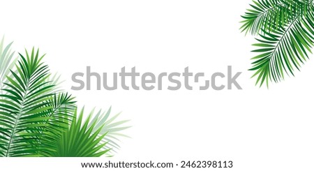 Tropical frame with exotic jungle plants, palm leaves, monstera and place for text. Foliage vector background. tropic design for travel, summer holiday, vacations card and banners