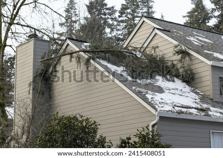Similar – Image, Stock Photo fallen branch after storm on the meadow under trees