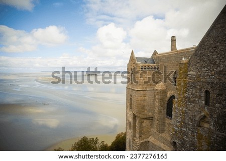 Similar – Image, Stock Photo Bay of Mont Saint-Michel trampled by salt meadows sheep, Brittany, France