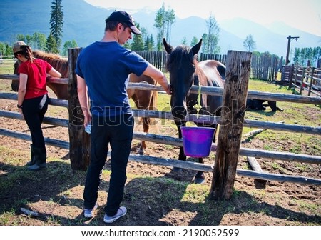 Similar – Image, Stock Photo A couple is horse riding on a meadow facing the distance. Romantic and active outdoor date. Autumn landscape, with young couple enjoying a horse riding. Overcast weather, beautiful horses.
