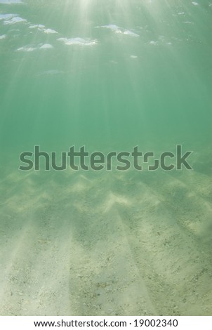 Underwater view of sunbeams stream through the surface of the ocean and dancing on the floor of the sea on a bright sunny day with dramatic sun rays.