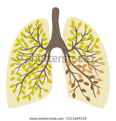 Human lungs, looking like a tree with green leaves, in one lung the leaves turn yellow and fall off. World Pneumonia Day. Bronchitis, respiratory illness. Lung health.