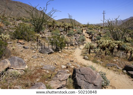 Anza Borrego Desert path